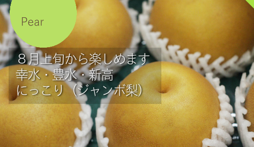 ８月上旬から楽しめます 幸水・豊水・新高 にっこり（ジャンボ梨）